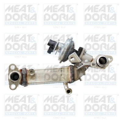 EGR Module